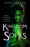Kingdom of Souls (eBook, ePUB)