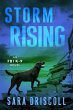 Storm Rising (eBook, ePUB) - Bild 1