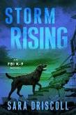 Storm Rising (eBook, ePUB)