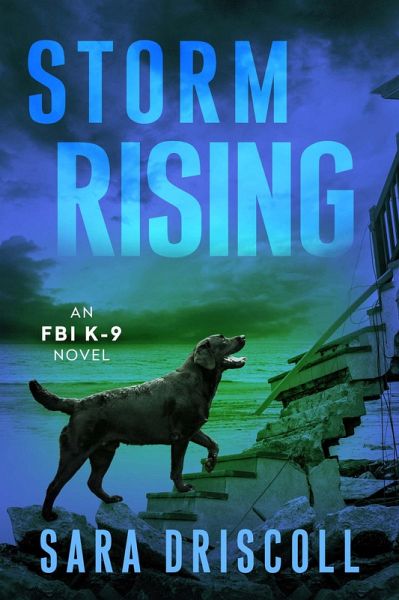 Storm Rising (eBook, ePUB) Storm Rising (eBook, ePUB)