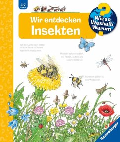 Wir entdecken Insekten / Wieso? Weshalb? Warum? Bd.39 - Weinhold, Angela