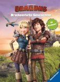 Dreamworks Dragons: Drachenstarke Geschichten für Erstleser