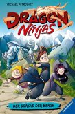 Der Drache der Berge / Dragon Ninjas Bd.1