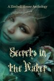 Secrets in the Water (eBook, ePUB)
