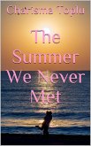 The Summer We Never Met (eBook, ePUB)