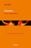 Staunen (eBook, PDF)