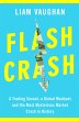 Flash Crash (eBook, ePUB) - Bild 1