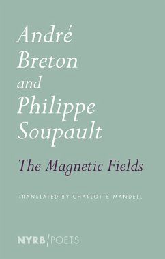 Cover The Magnetic Fields (eBook, ePUB)