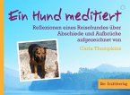 Ein Hund meditiert Ein Hund meditiert
