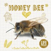 Honey Bee Honey Bee