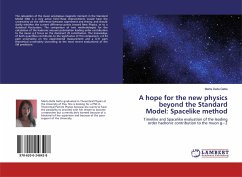 A hope for the new physics beyond the Standard Model: Spacelike method - Della Gatta, Marta