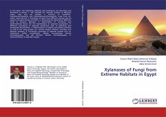 Xylanases of Fungi from Extreme Habitats in Egypt