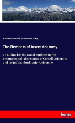The Elements of Insect Anatomy