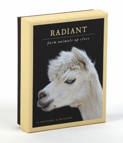 Radiant Notecards - Scott, Traer
