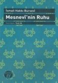 Mesnevinin Ruhu