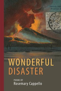 Wonderful Disaster - Cappello, Rosemary