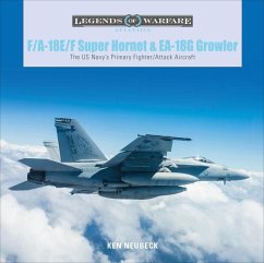 F/A-18E/F Super Hornet and EA-18G Growler - Neubeck, Ken