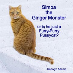 Simba the Ginger Monster - Adams, Raewyn