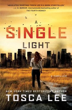 A Single Light (eBook, ePUB) Cover A Single Light (eBook, ePUB)