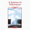 A Summer in Yellowstone - Bild 1