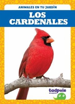 Los Cardenales (Cardinals) - Nilsen, Genevieve
