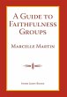 A Guide To Faithfulness Groups - Bild 1