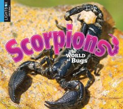Scorpions - Siemens, Jared