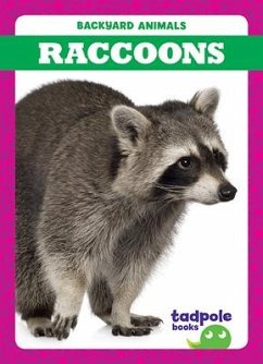 Raccoons - Nilsen, Genevieve