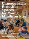 Unnecessarily Beautiful Spaces for Young Minds on Fire