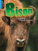 Bison