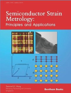 Semiconductor Strain Metrology: Principles and Applications - S. Wong, Terence K.