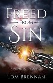 Freed From Sin: A Primer on Holiness