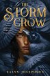 The Storm Crow - Bild 1