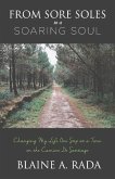 From Sore Soles to a Soaring Soul: Changing My Life One Step at a Time on the Camino de Santiago Volume 1