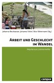 Arbeit und Geschlecht im Wandel (eBook, PDF)
