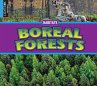 Boreal Forests - Bild 1