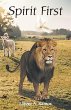 Spirit First - Bild 1