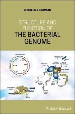 Structure and Function of the Bacterial Genome - Dorman, Charles J.