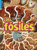 Los Fósiles