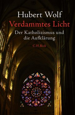 Verdammtes Licht (eBook, PDF) - Wolf, Hubert