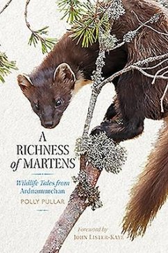 A Richness of Martens - Pullar, Polly