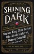 Shining in the Dark (eBook, ePUB) - Bild 1