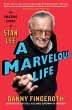 A Marvelous Life (eBook, ePUB) - Bild 1