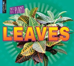 Cover Leaves