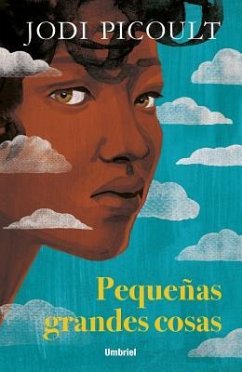 Pequeñas Grandes Cosas - Picoult, Jodi