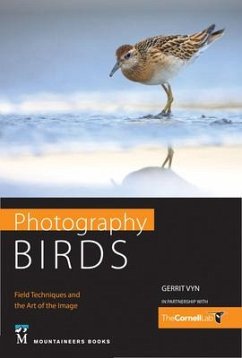 Photography Birds