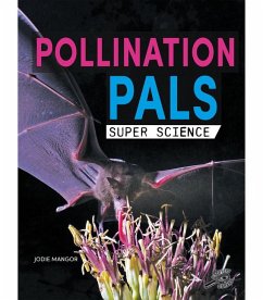 Pollination Pals - Mangor