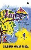 Amigo: Between the two Phases