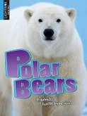 Polar Bears