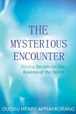 The Mysterious Encounter